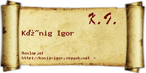 Kőnig Igor névjegykártya